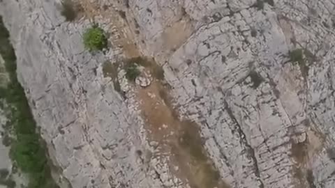 Zipline Goes Wrong