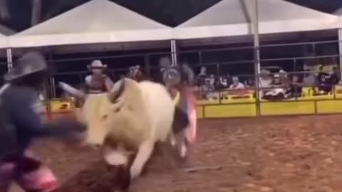 The dude got lucky