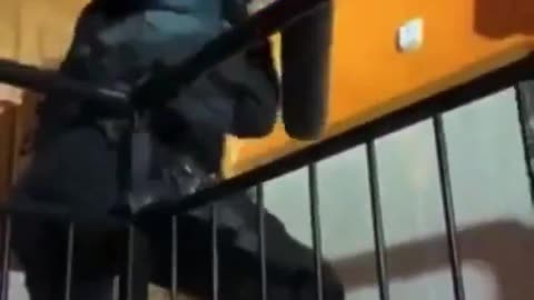 Some say they're still trying to get in...😂