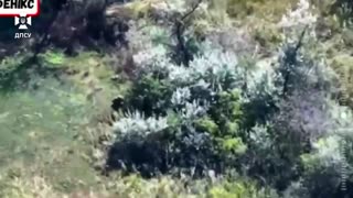 🔥Border guards-operators of the Phoenix UAV destroyed 4 enemy "loaves",