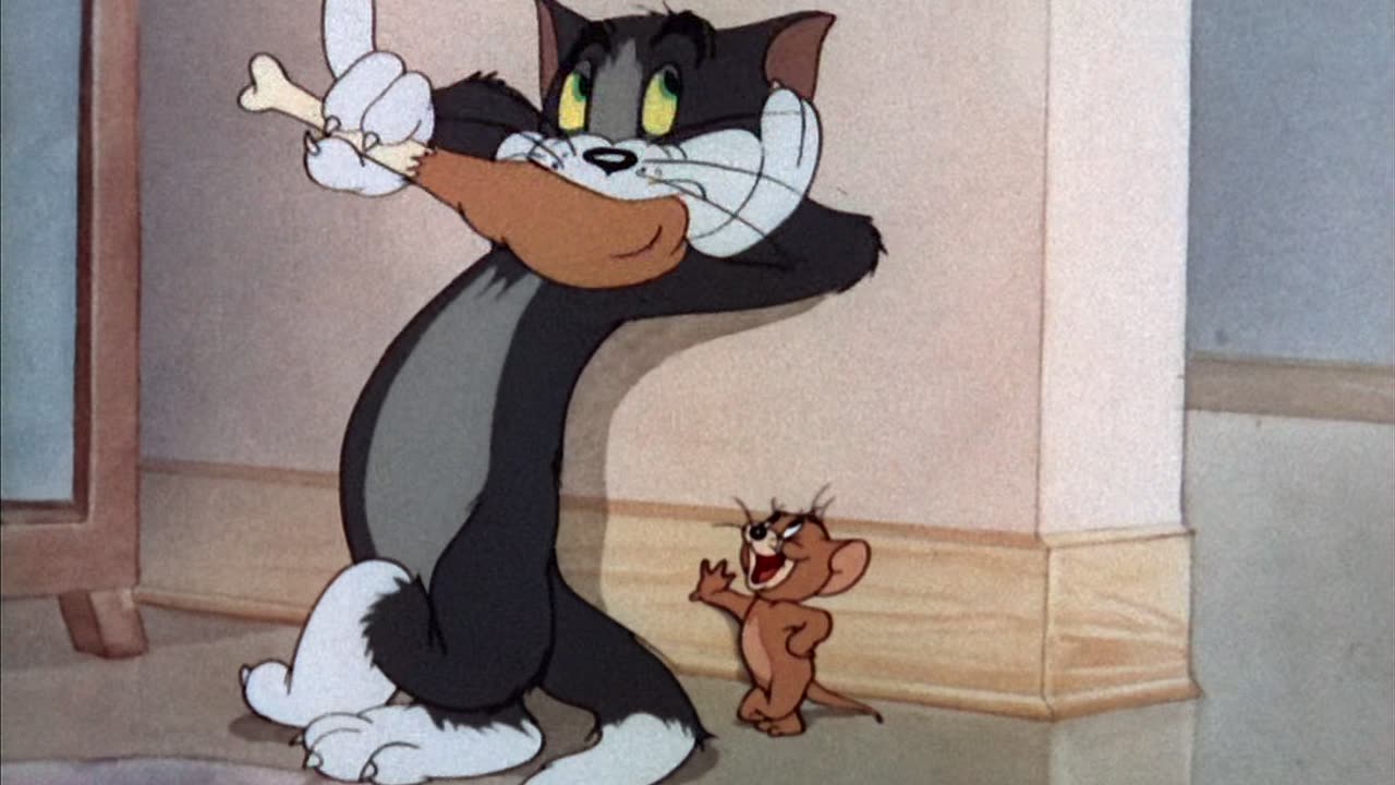 tom and jerry 11