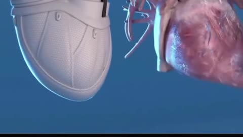 Artificial Heart 🩺💖💖💖💖