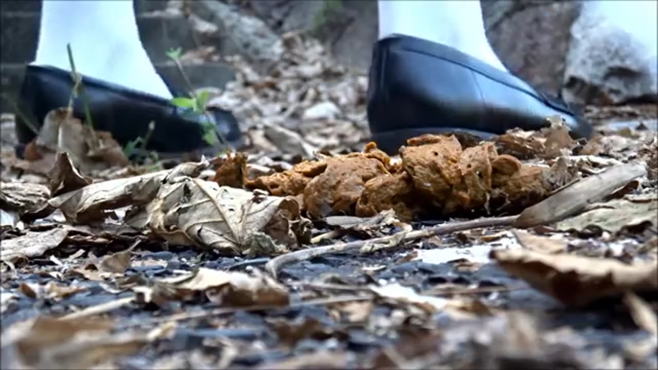 Girls in Loafers Walk Over Crap - Candid