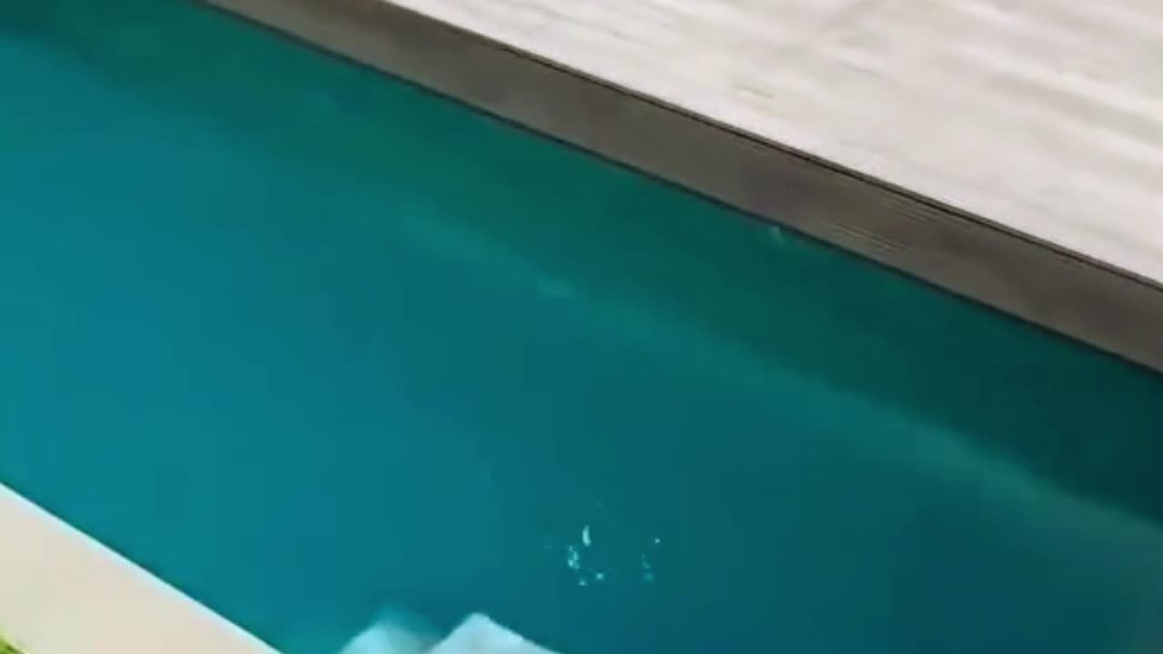 あなたの心を吹き飛ばす隠れた部屋を発見！