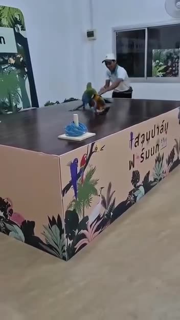 In a league of its own 🤣👍