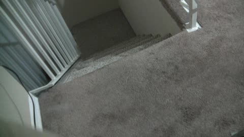 ‎June ‎27, ‎2019, ‏‎4:08:16 AM