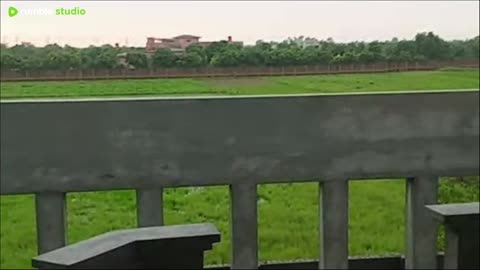 RainAndNature