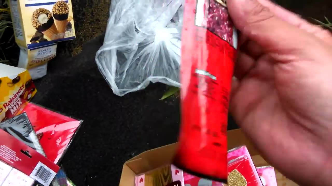 Dumpster Dive Food Haul (Complete)