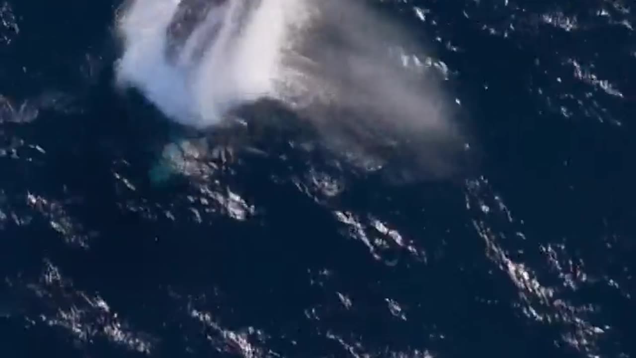 Humpback whale jumps out of ocean