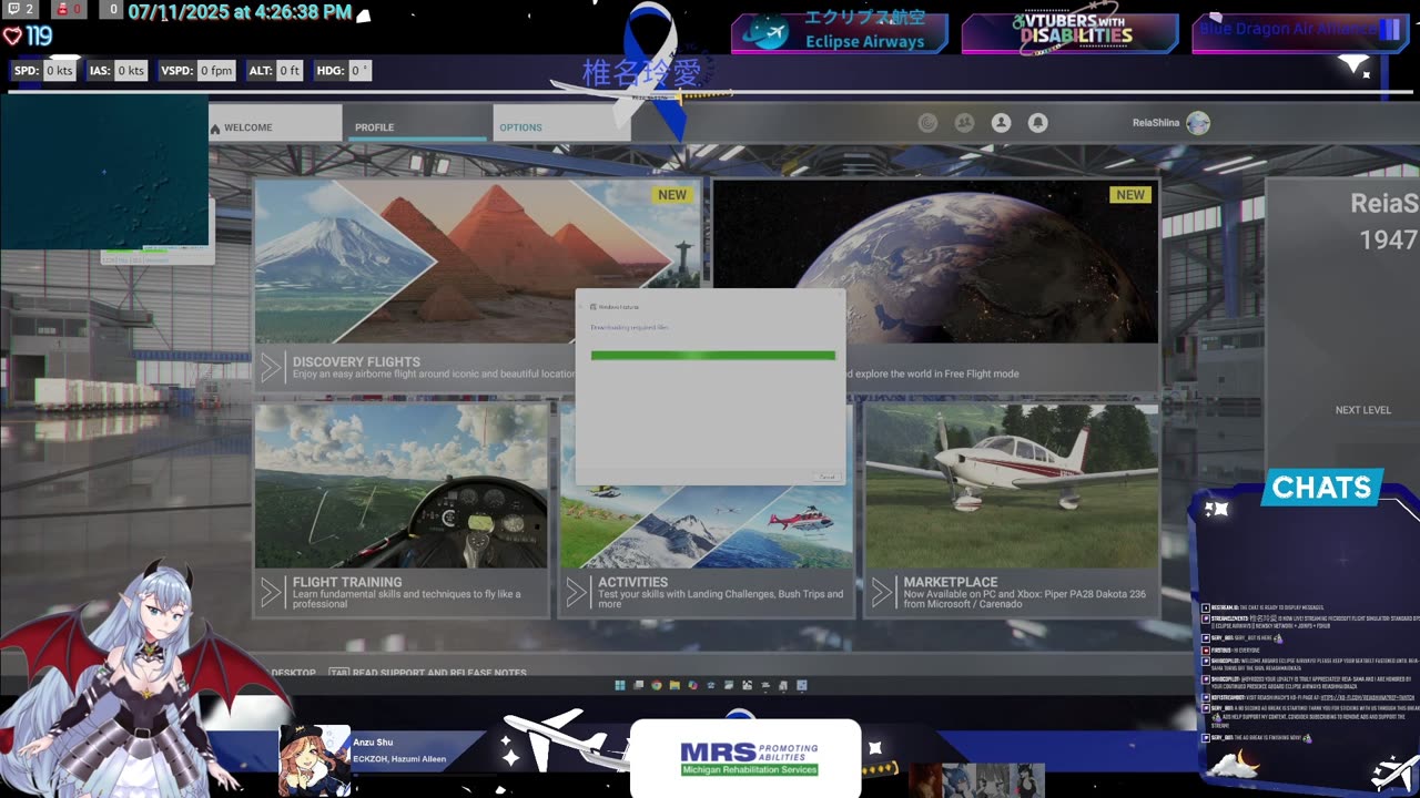 Standard ops || Eclipse Airways || Newsky Network + JoinFS + FSHub