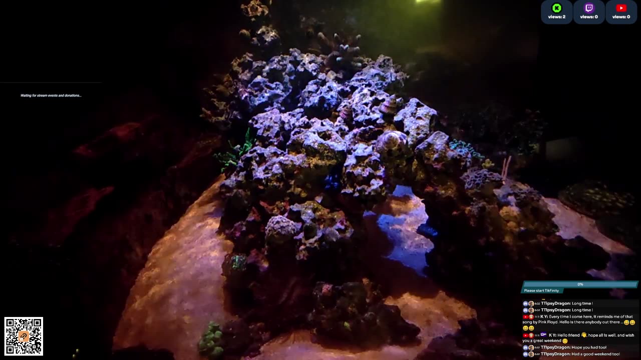 24/7 Real Live Reef Stream
