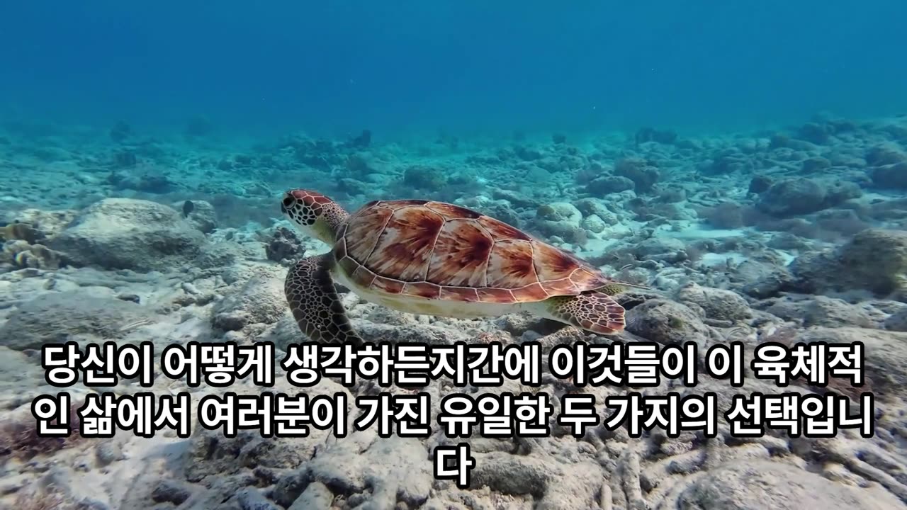 제1장 복제물 공중 2천층 악령들의 목격담 하워드 피트만 목사