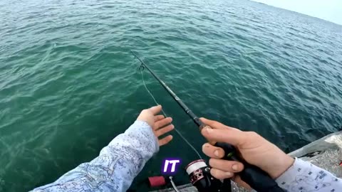 Ultimate Saltwater Fishing Trip – Huge Catch of the Day!