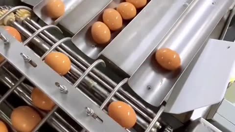 eggs machine