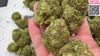Donations & Bulk Wholesale Cheap $180 QP Runtz OG by THCA Small Buds! The Dank Flamingo Review!!r