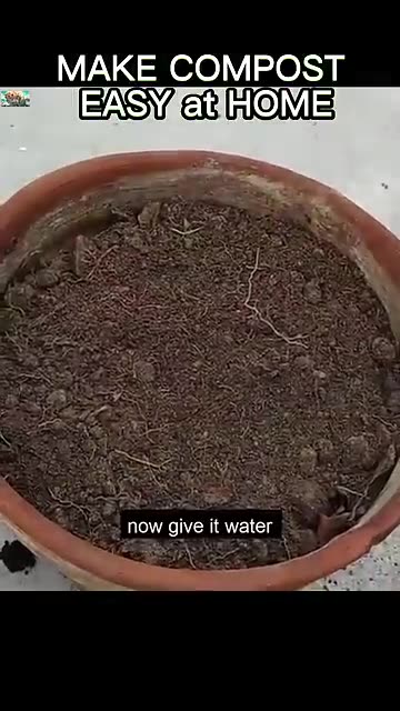 Make Compost at Home Fast 100