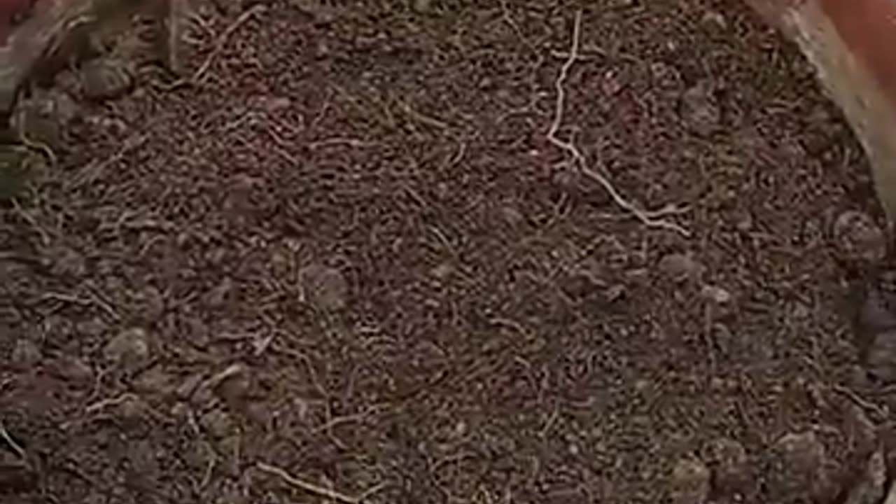 Make Compost at Home Fast 100