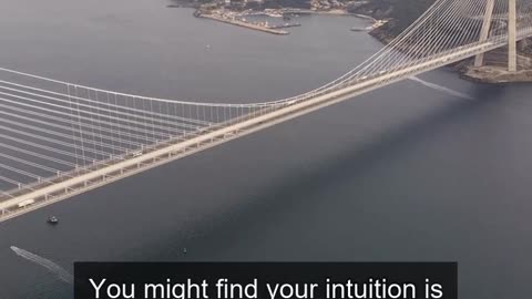 Daily Horoscope | Cancer 🌟