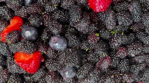 Mulberries Strawberries & Blueberries From The Homestead Garden Florida
