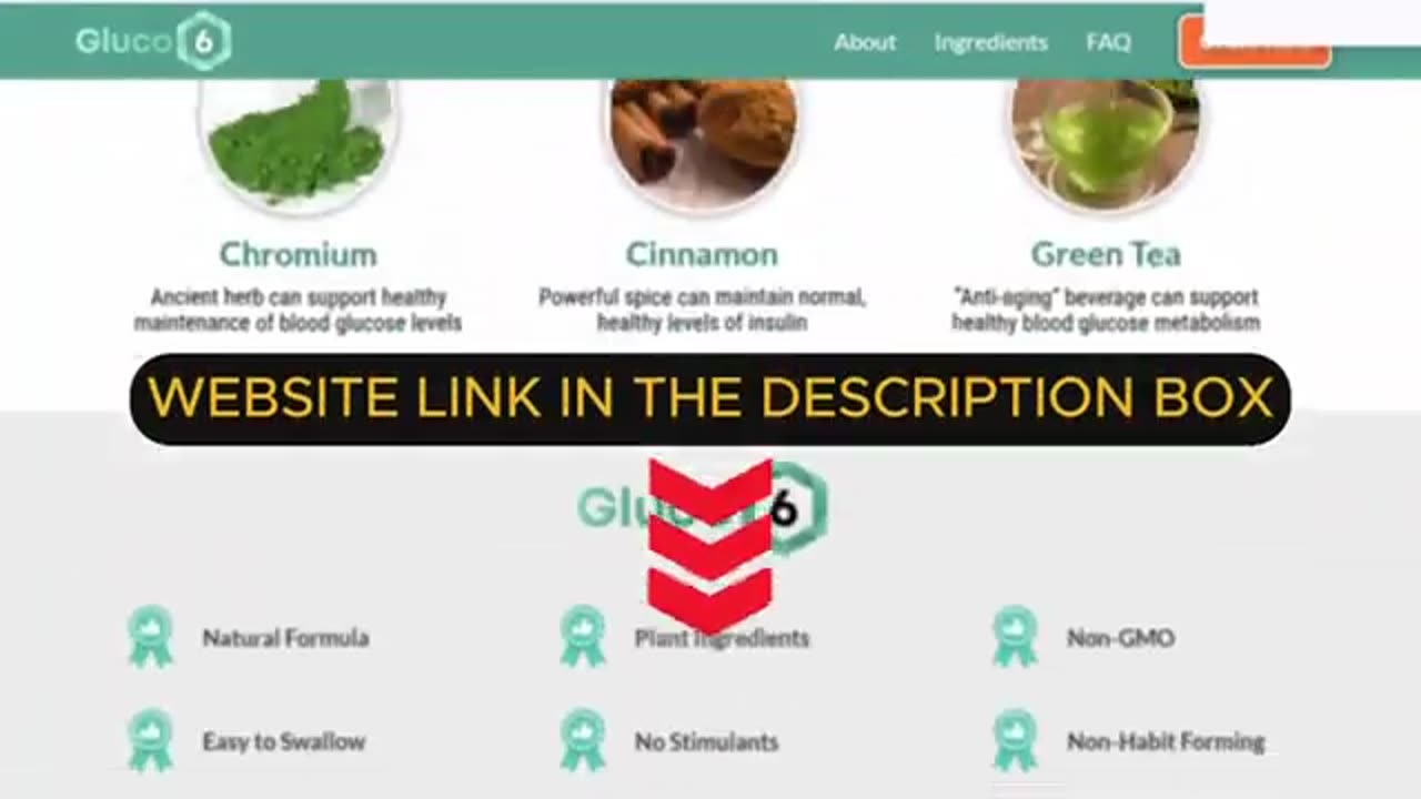 Gluco6 Honest Review 🔍 What They Don’t Tell You!