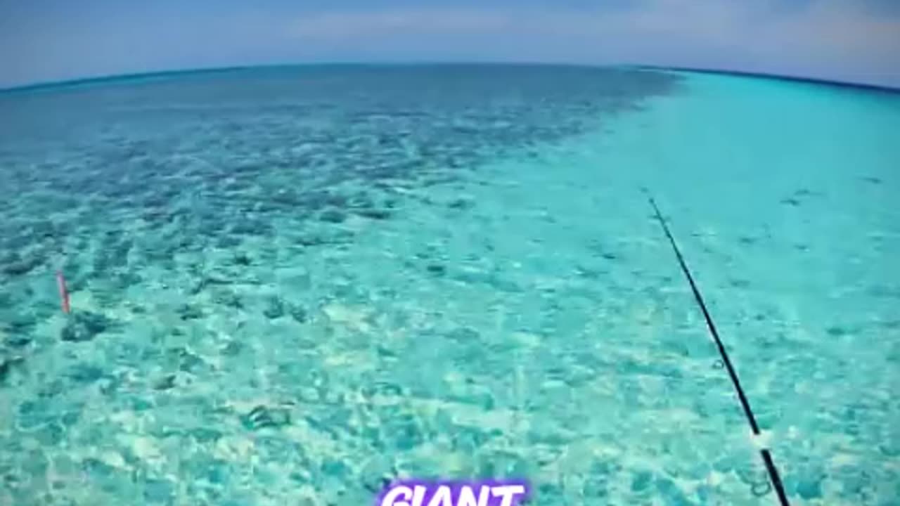 Middle of the Ocean Fishing