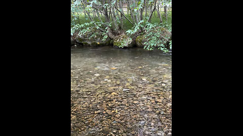 Babbling Brook in Skagway, Alaska