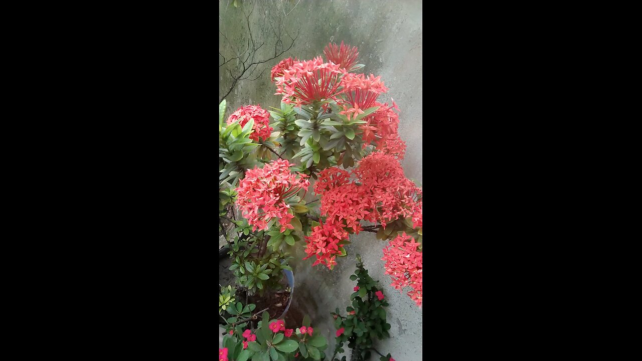 Life is full off joy