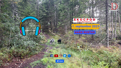 Skogpod 1. september 2025