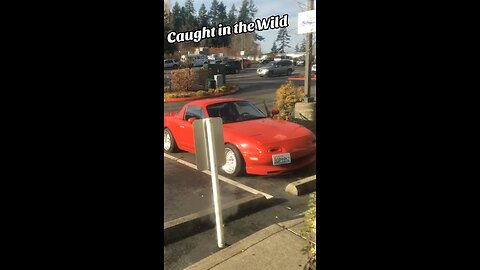 In the wild in my Supercharged Miata. Redrum.x