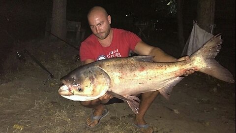 Fishing on Carassius and Tolstolob Lake ,,Vitska Elia,, Bulgaria