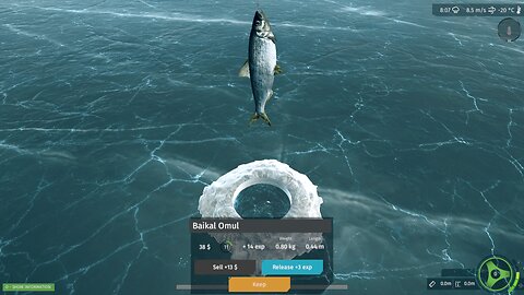 Still doing some more fishy stuff in Baikal Lake, Russia, in a Winter setting