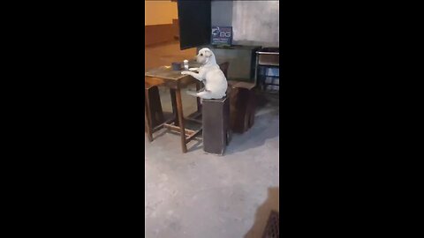 pensando