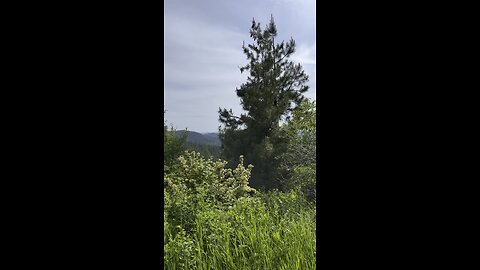 North Idaho