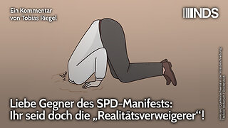 Liebe Gegner des SPD-Manifests: Ihr seid doch die „Realitätsverweigerer“! | Tobias Riegel | NDS