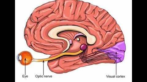 Clear Vision, Healthy Eyes: Simple Steps to Protect Your Sight