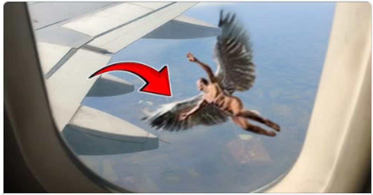 You Won’t Believe What This Flight Passenger Captured in the Sky - Weird or Wild