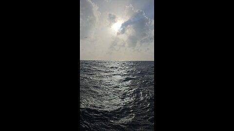 always a good time in the gulf 🤙