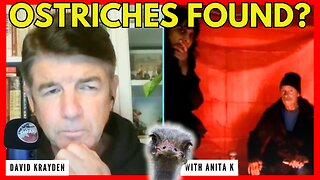 INCREDIBLE Revelations About the Ostrich Scandal | Stand on Guard