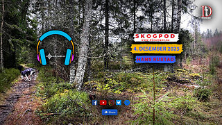 Skogpod 4. desember 2025