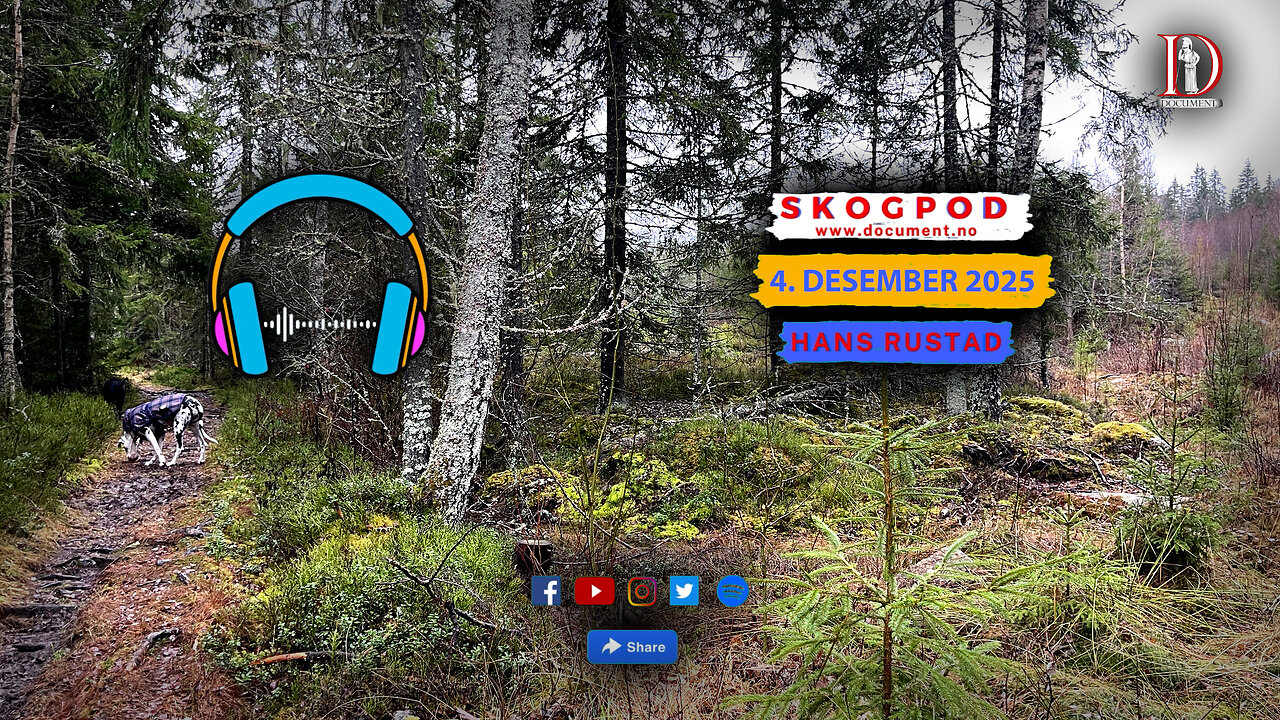 Skogpod 4. desember 2025