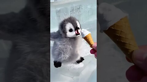 Penguin 🐧 🧊