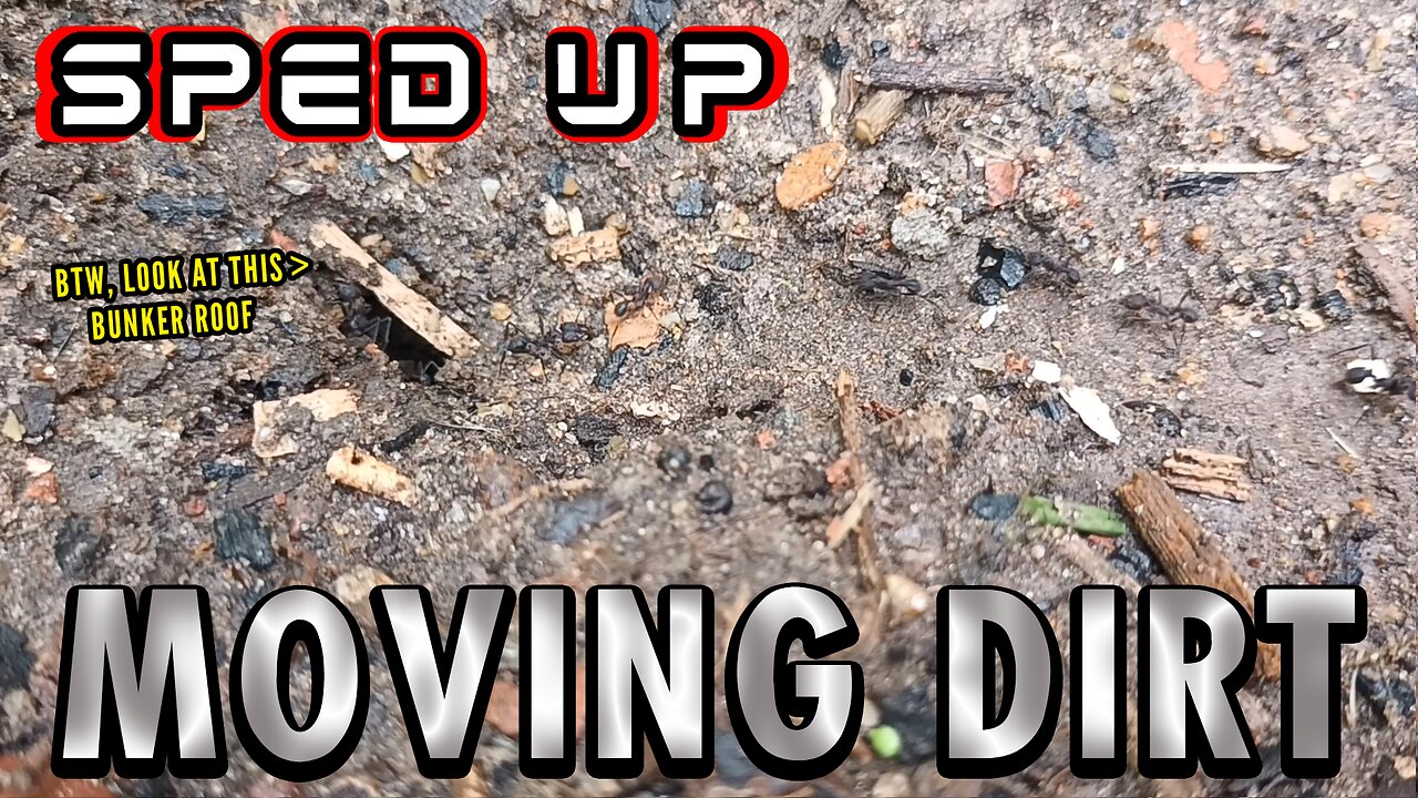 ASMR | It's a gloomy, humid, grey work day on the little trench - Sped up