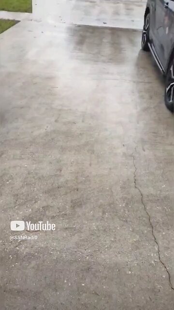 Who Knows Man But It's There 🐸