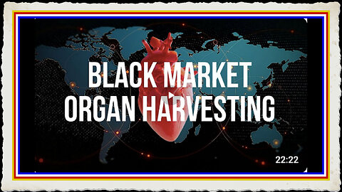 Organ Harvesting - The Global Black Market They Don’t Want You to See