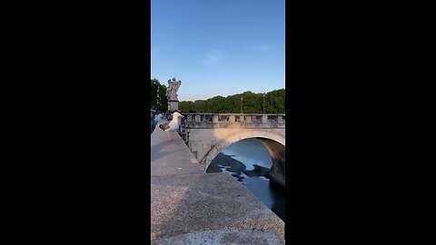 vid 11