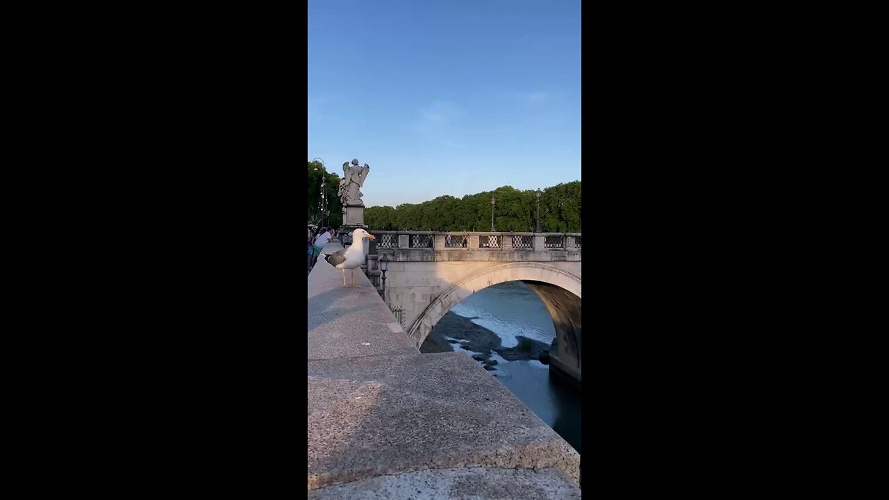 vid 11