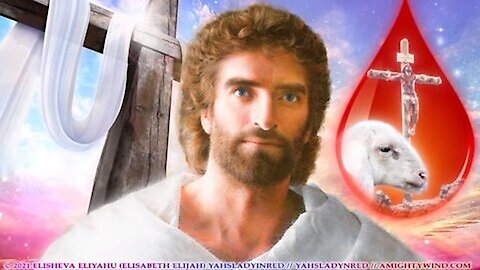 Amightywind Prophecy 14 - Repent America, The Blood Is On Your Hands! "Let the White House know, MY People will not accept the blood of the innocent babies on their hands"