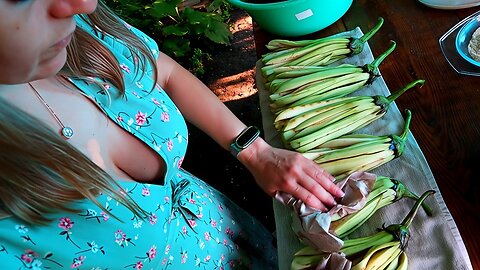 Village Life in Ukraine | Organic Crispy Eggplant Recipe | Outdoor Cooking & Slow Living