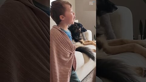 Funny Animals #funnyanimals #animals #pets #funny #shorts