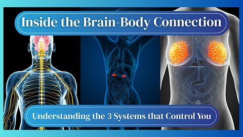 ✨Do You Know the 3 Systems that Control Everything You Do?